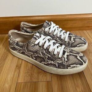 Snake print Johnston & Murphy lace up shoes 9.5